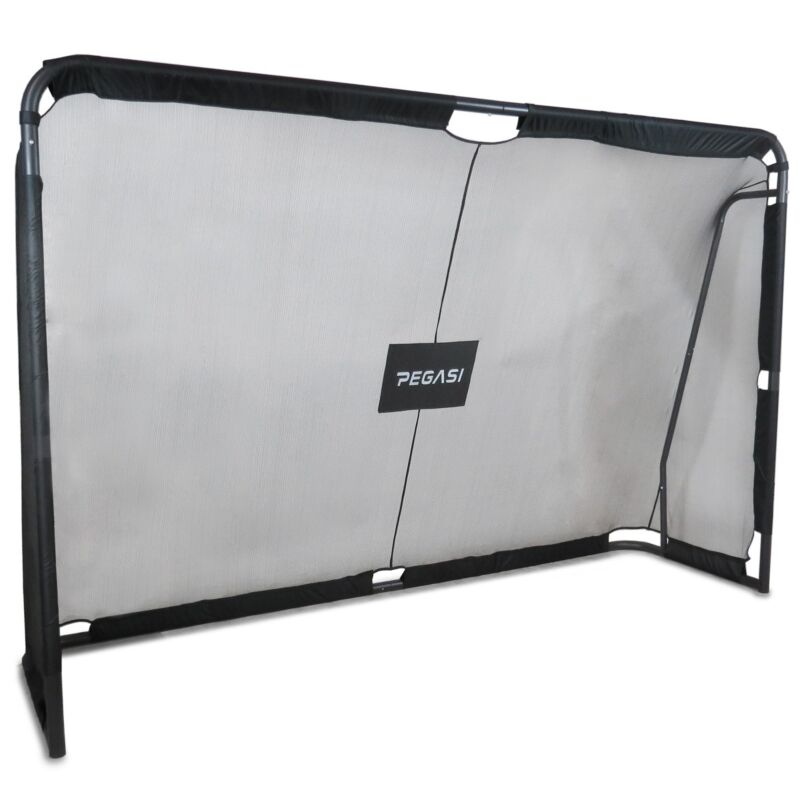 Voetbaldoel 300 x 200 cm Pegasi
